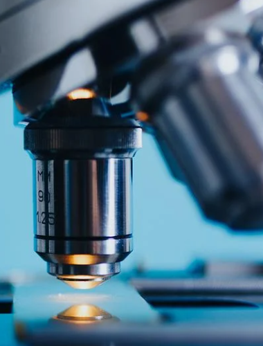 ky体育官网登录入口网页版(中国)有限公司官网