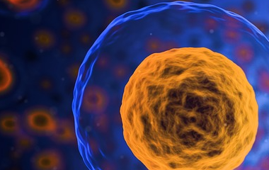 ky体育官网登录入口网页版(中国)有限公司官网