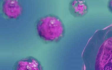 ky体育官网登录入口网页版(中国)有限公司官网