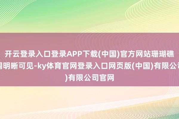 开云登录入口登录APP下载(中国)官方网站珊瑚礁的空洞明晰可见-ky体育官网登录入口网页版(中国)有限公司官网