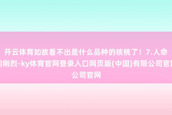 开云体育如故看不出是什么品种的核桃了!7.人命的刚烈-ky体育官网登录入口网页版(中国)有限公司官网