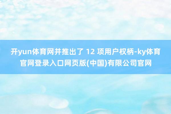 开yun体育网并推出了 12 项用户权柄-ky体育官网登录入口网页版(中国)有限公司官网