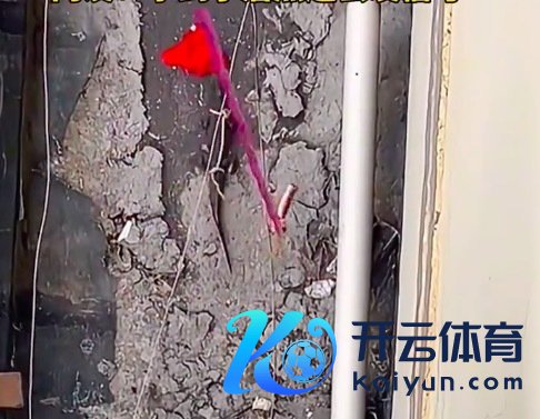 男人穿着掉到楼下让鳄鱼下去捡 网友：太灵巧，捡到还发信号……