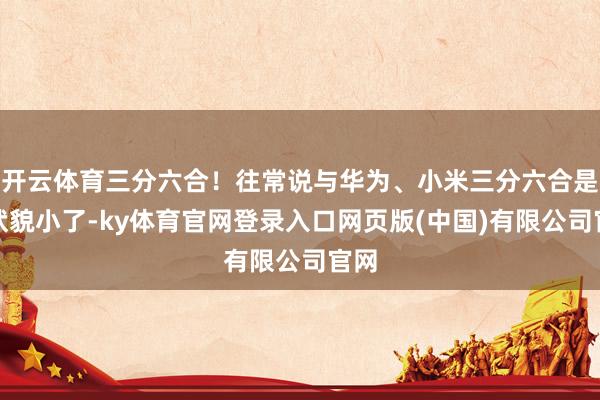 开云体育三分六合！往常说与华为、小米三分六合是我状貌小了-ky体育官网登录入口网页版(中国)有限公司官网