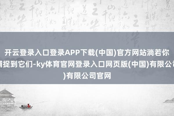 开云登录入口登录APP下载(中国)官方网站淌若你得手捕捉到它们-ky体育官网登录入口网页版(中国)有限公司官网